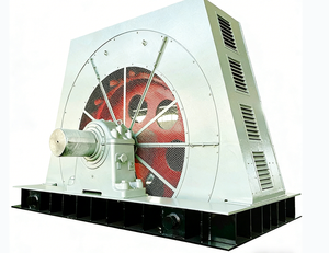 Industrial Three Phase AC Large Synchronous Motor 250kW 8000kW