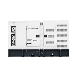 Goldlink Power 250KVA/200KW Silent Diesel Generator Synchronous Generator Electric Start Generator for Industrial Power Station