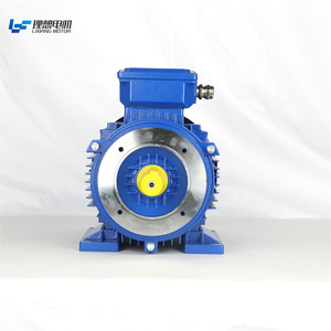Heavy Duty Durable Large Power 2 Pole Iron 3 Phase Asynchronous Motor